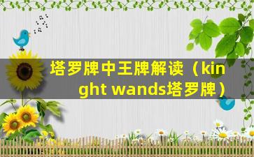 塔罗牌中王牌解读（kinght wands塔罗牌）